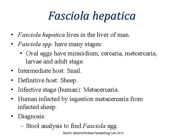 Fasciola hepatica • Fasciola hepatica lives in the liver of man. • Fasciola spp. Fasciola hepatica • Fasciola hepatica lives in the liver of man. • Fasciola spp.