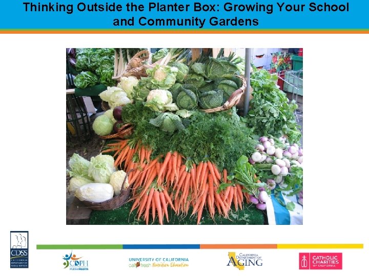 Thinking Outside the Planter Box: Growing Your School and Community Gardens 