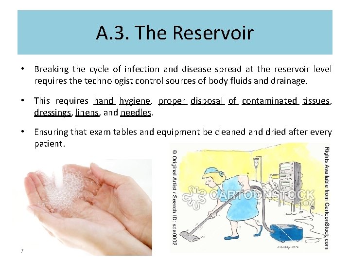 A. 3. The Reservoir • Breaking the cycle of infection and disease spread at