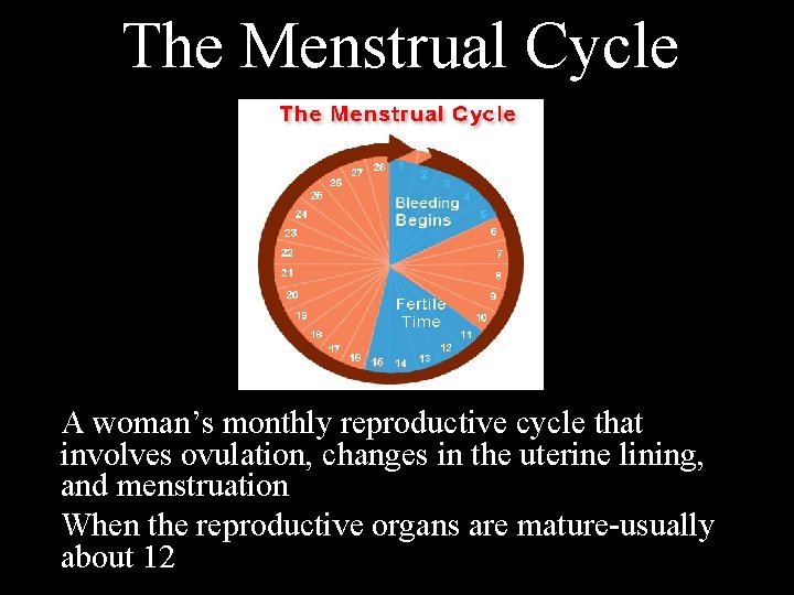 The Menstrual Cycle A woman’s monthly reproductive cycle that involves ovulation, changes in the