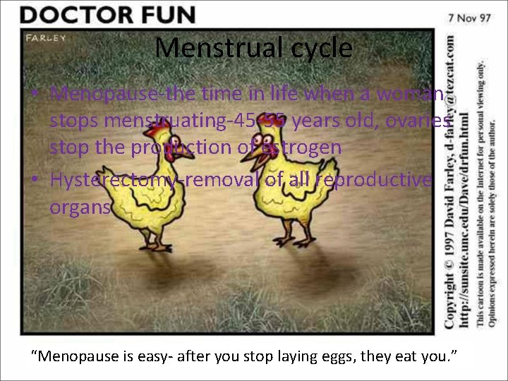 Menstrual cycle • Menopause-the time in life when a woman stops menstruating-45 -55 years