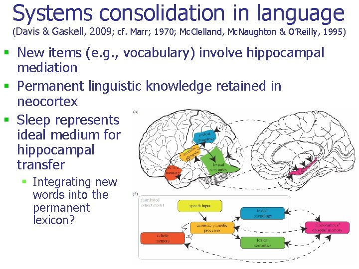 Systems consolidation in language (Davis & Gaskell, 2009; cf. Marr; 1970; Mc. Clelland, Mc. Systems consolidation in language (Davis & Gaskell, 2009; cf. Marr; 1970; Mc. Clelland, Mc.