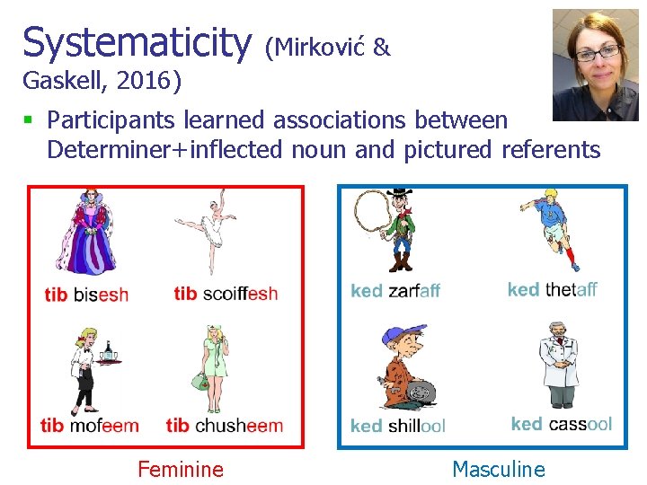 Systematicity (Mirković & Gaskell, 2016) § Participants learned associations between Determiner+inflected noun and pictured Systematicity (Mirković & Gaskell, 2016) § Participants learned associations between Determiner+inflected noun and pictured