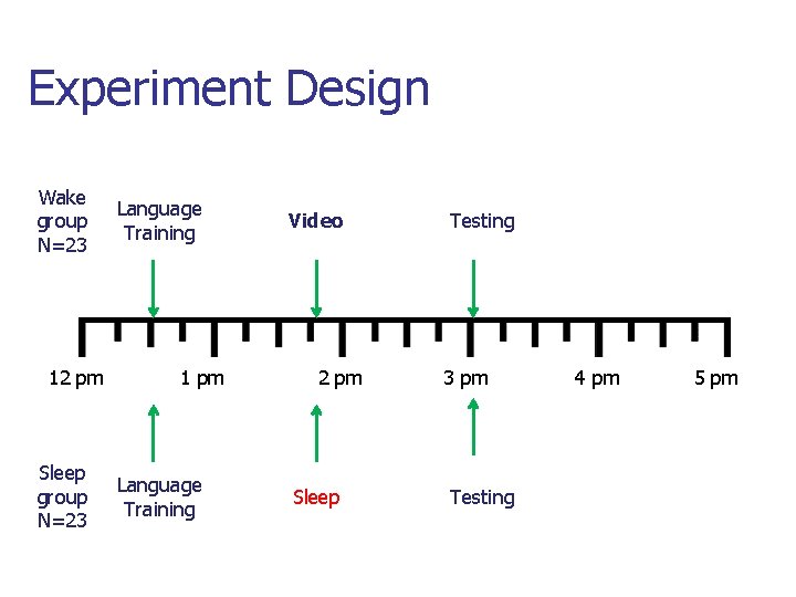 Experiment Design Wake group N=23 12 pm Sleep group N=23 Language Training 1 pm Experiment Design Wake group N=23 12 pm Sleep group N=23 Language Training 1 pm