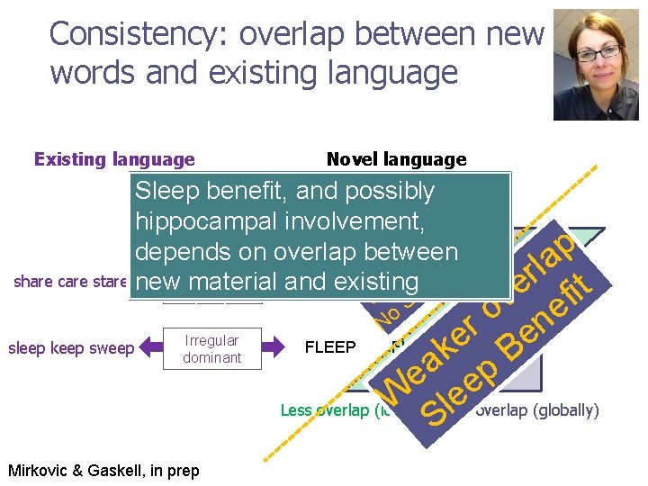 Consistency: overlap between new words and existing language Existing language Novel language Sleep benefit, Consistency: overlap between new words and existing language Existing language Novel language Sleep benefit,