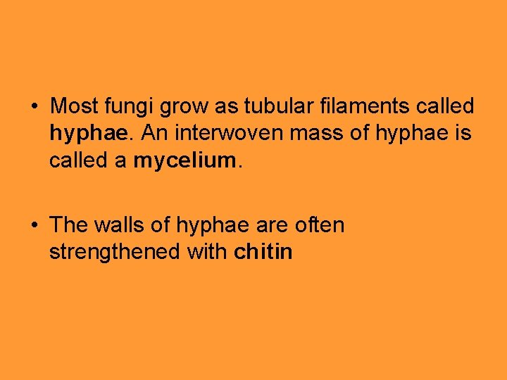  • Most fungi grow as tubular filaments called hyphae. An interwoven mass of