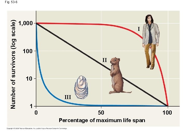 Number of survivors (log scale) Fig. 53 -6 1, 000 I 100 II 10