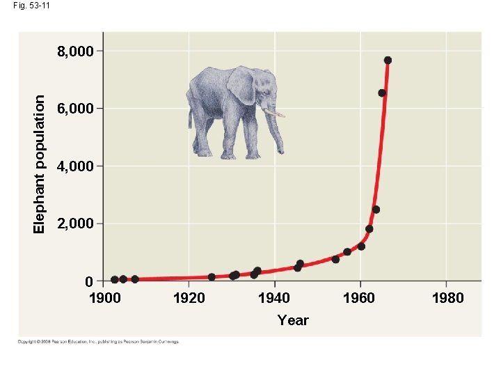 Fig. 53 -11 Elephant population 8, 000 6, 000 4, 000 2, 000 0