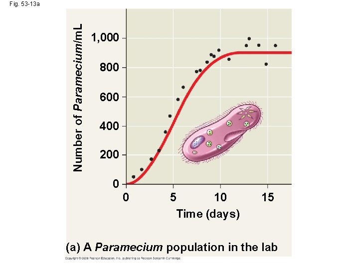 Number of Paramecium/m. L Fig. 53 -13 a 1, 000 800 600 400 200