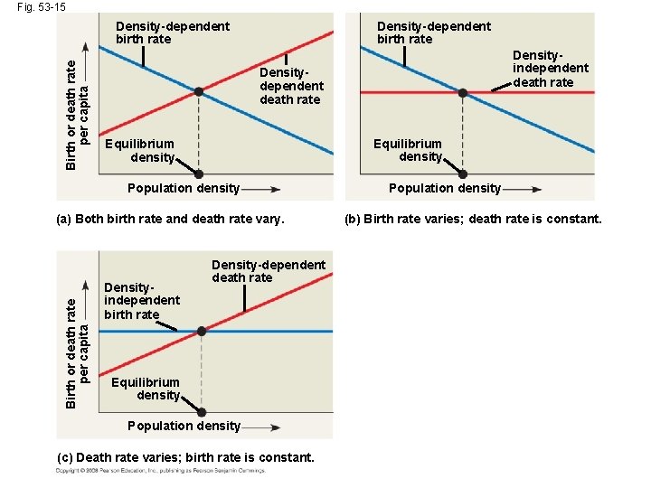 Fig. 53 -15 Birth or death rate per capita Density-dependent birth rate Densitydependent death