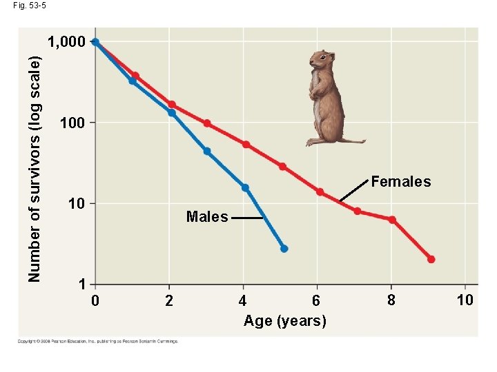 Fig. 53 -5 Number of survivors (log scale) 1, 000 100 Females 10 1