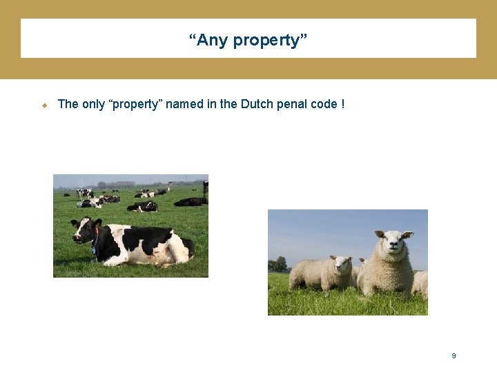 “Any property” u The only “property” named in the Dutch penal code ! 9