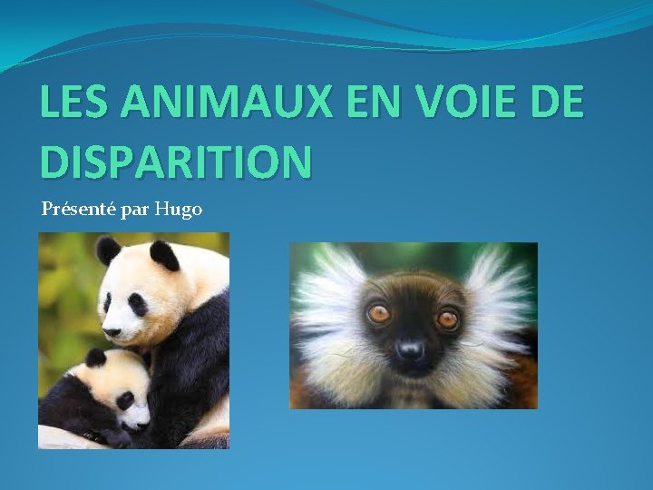 LES ANIMAUX EN VOIE DE DISPARITION Présenté par Hugo 