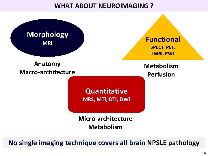 WHAT ABOUT NEUROIMAGING ? Morphology Functional MRI SPECT, PET, f. MRI, PWI Anatomy Macro-architecture