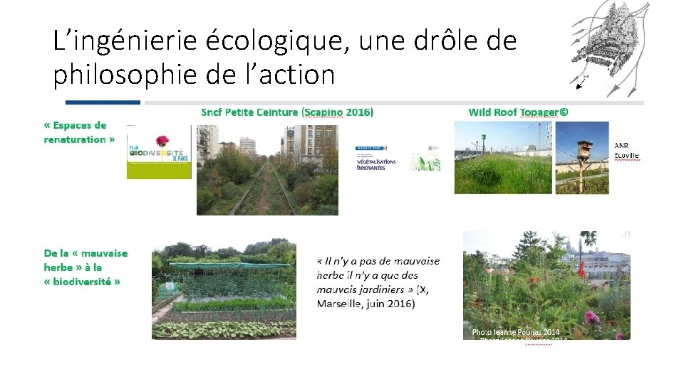 L’ingénierie écologique, une drôle de philosophie de l’action 