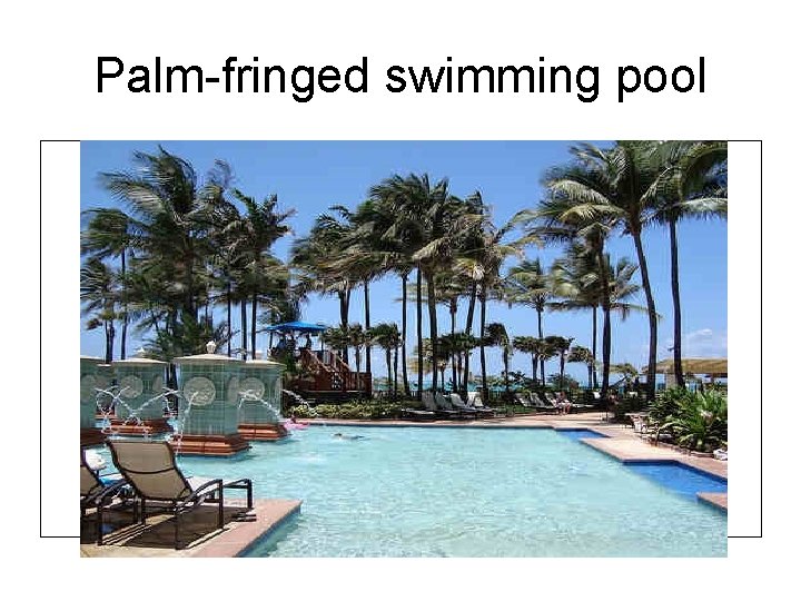 Palm fringed swimming pool 