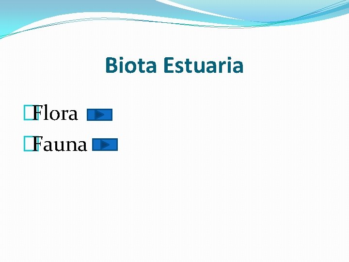 Biota Estuaria �Flora �Fauna 