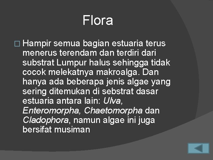 Flora � Hampir semua bagian estuaria terus menerus terendam dan terdiri dari substrat Lumpur