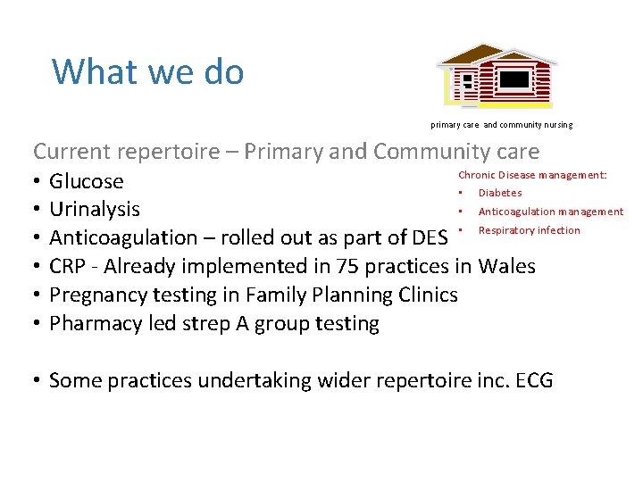 What we do primary care and community nursing Current repertoire – Primary and Community