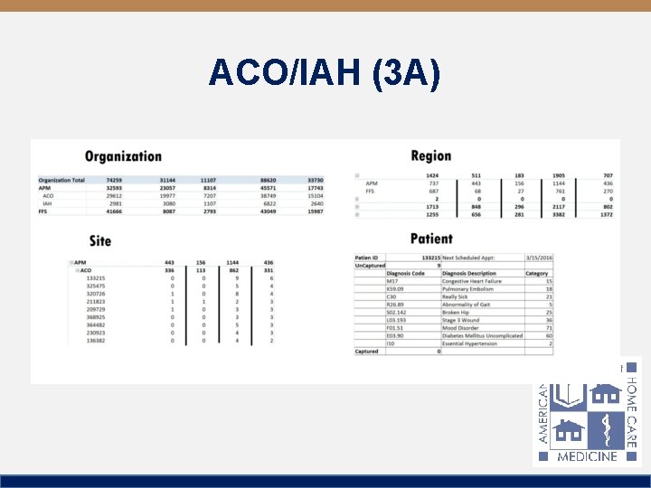 ACO/IAH (3 A) 