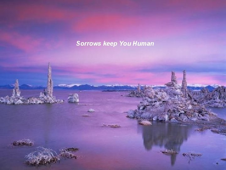 Sorrows keep You Human 