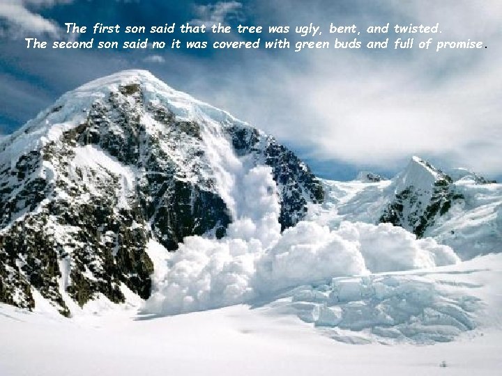 The first son said that the tree was ugly, bent, and twisted. The second