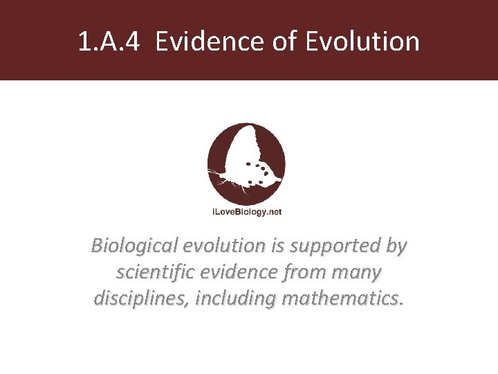 1. A. 4 Evidence of Evolution Biological evolution is supported by scientific evidence from