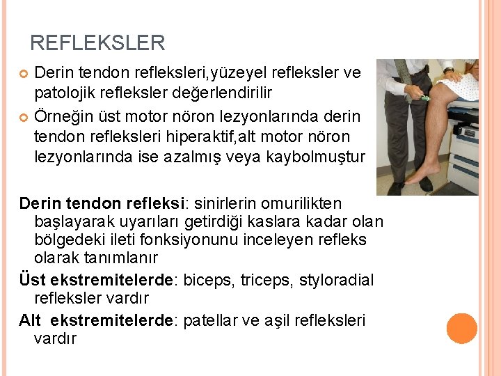 REFLEKSLER Derin tendon refleksleri, yüzeyel refleksler ve patolojik refleksler değerlendirilir Örneğin üst motor nöron