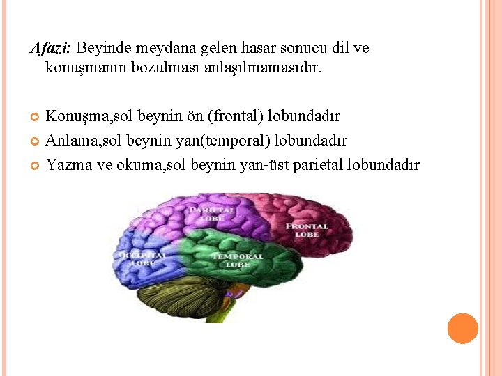 Afazi: Beyinde meydana gelen hasar sonucu dil ve konuşmanın bozulması anlaşılmamasıdır. Konuşma, sol beynin