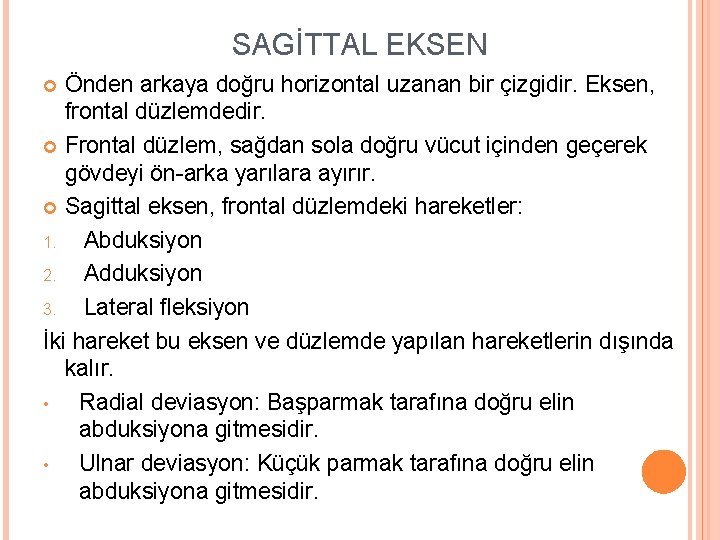 SAGİTTAL EKSEN Önden arkaya doğru horizontal uzanan bir çizgidir. Eksen, frontal düzlemdedir. Frontal düzlem,