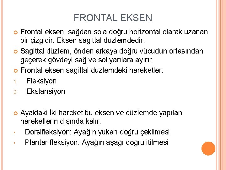 FRONTAL EKSEN Frontal eksen, sağdan sola doğru horizontal olarak uzanan bir çizgidir. Eksen sagittal