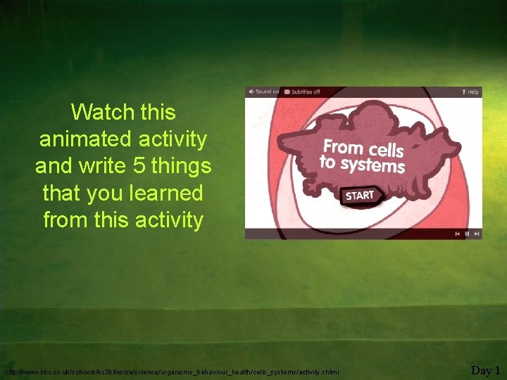 Watch this animated activity and write 5 things that you learned from this activity