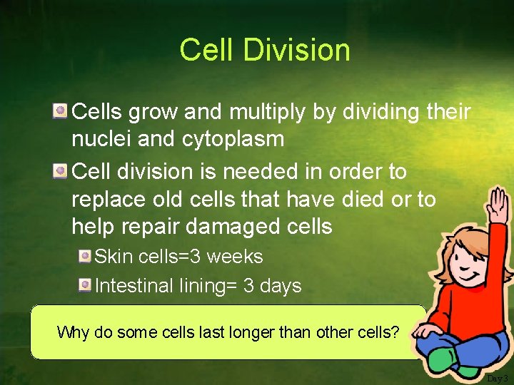 Cell Division Cells grow and multiply by dividing their nuclei and cytoplasm Cell division