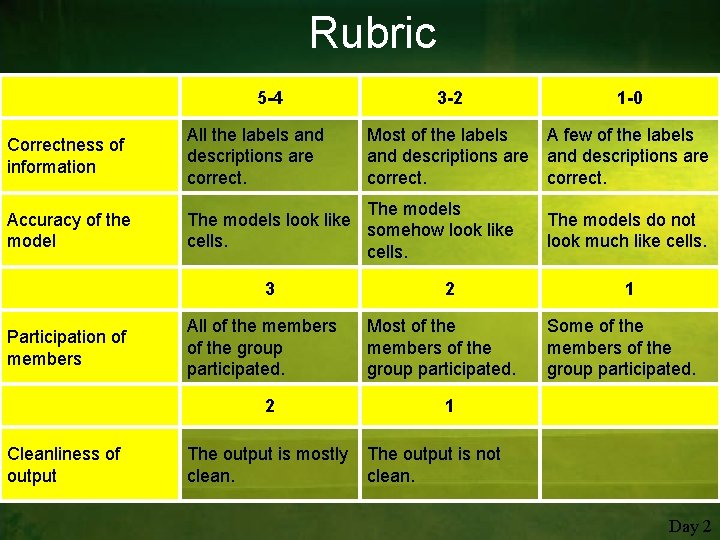 Rubric 5 -4 3 -2 Correctness of information All the labels and descriptions are
