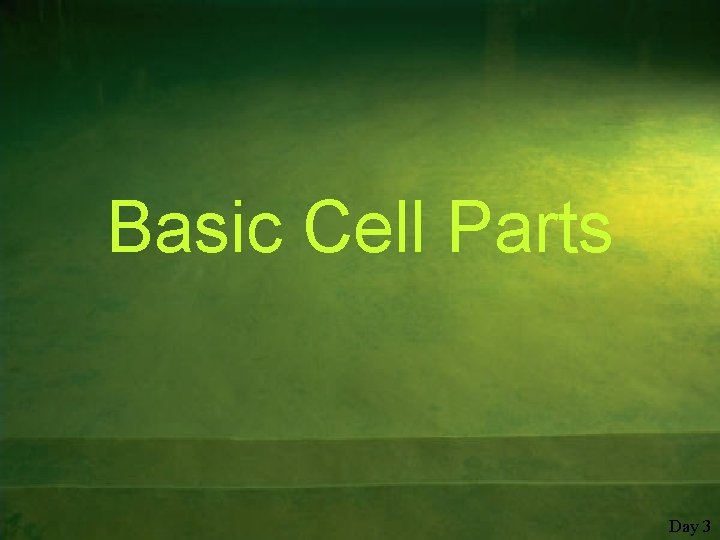 Basic Cell Parts Day 3 