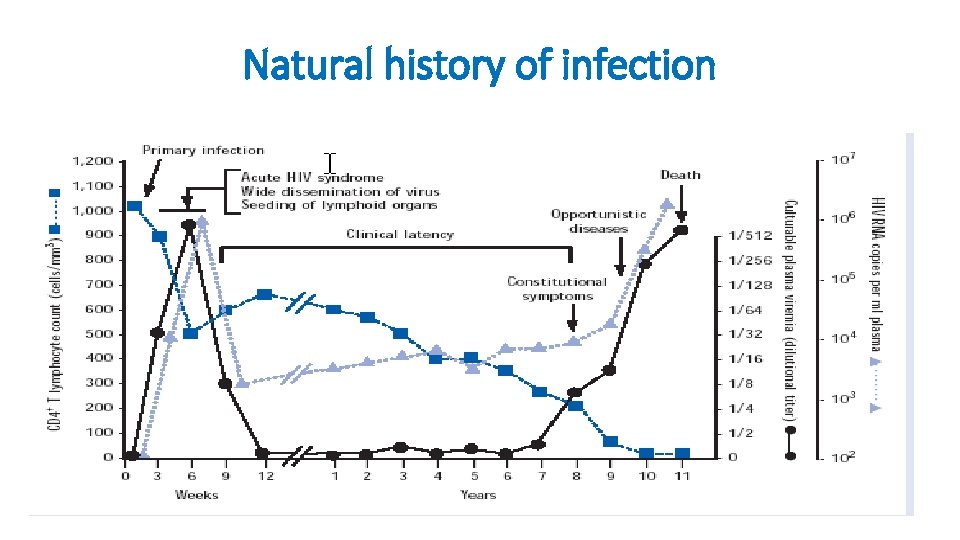 Natural history of infection 