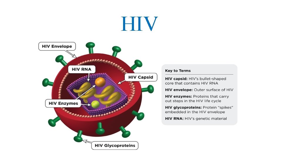 HIV 