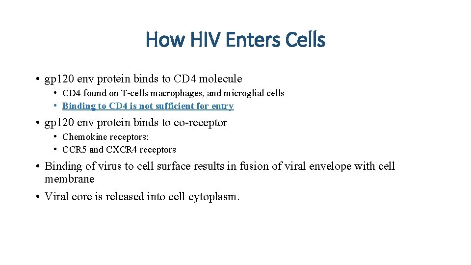 How HIV Enters Cells • gp 120 env protein binds to CD 4 molecule