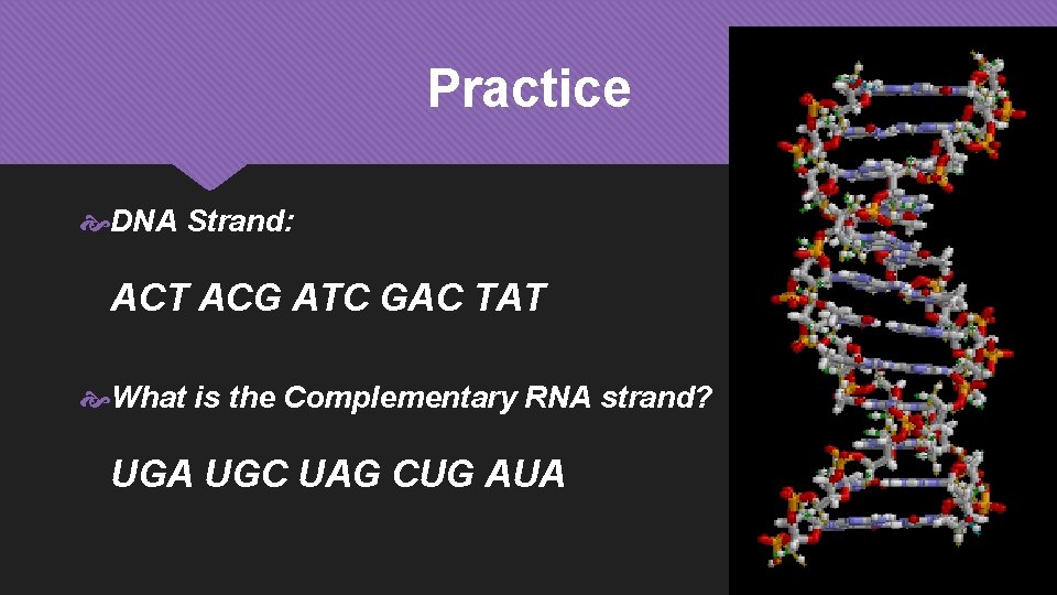 Practice DNA Strand: ACT ACG ATC GAC TAT What is the Complementary RNA strand?