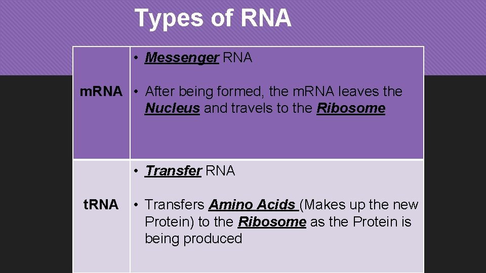 Types of RNA • Messenger RNA m. RNA • After being formed, the m.