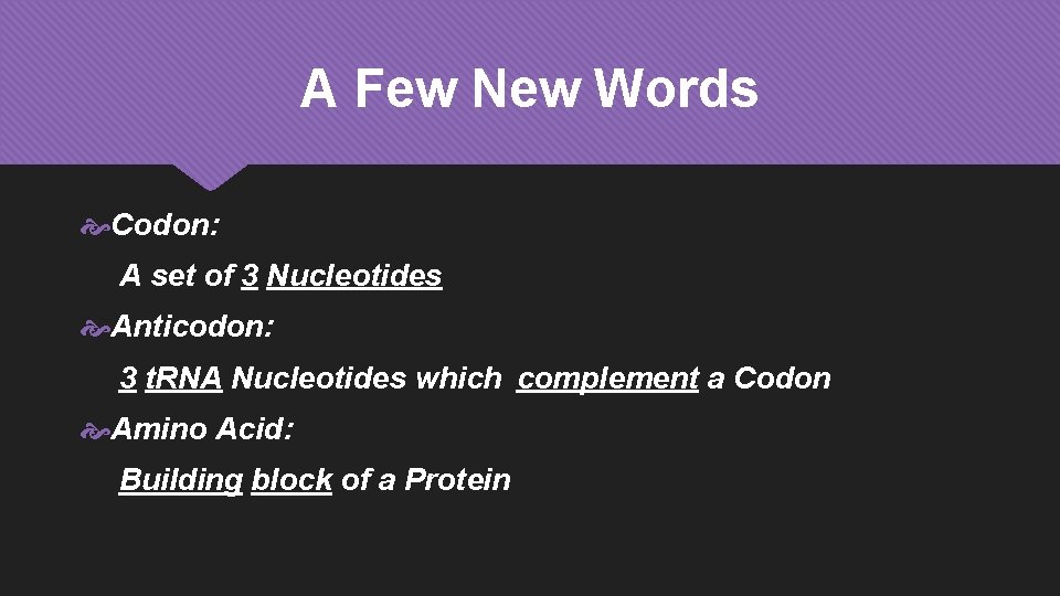 A Few New Words Codon: A set of 3 Nucleotides Anticodon: 3 t. RNA
