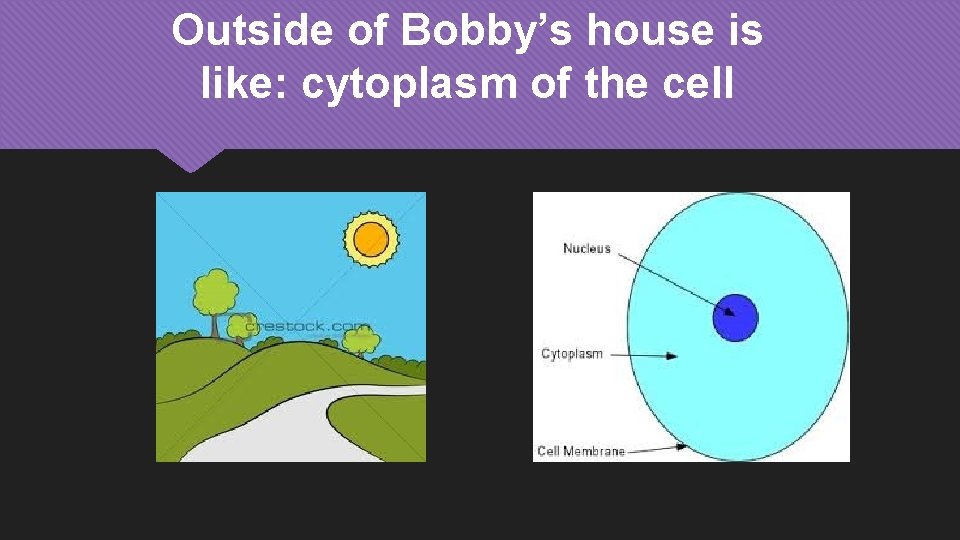 Outside of Bobby’s house is like: cytoplasm of the cell 
