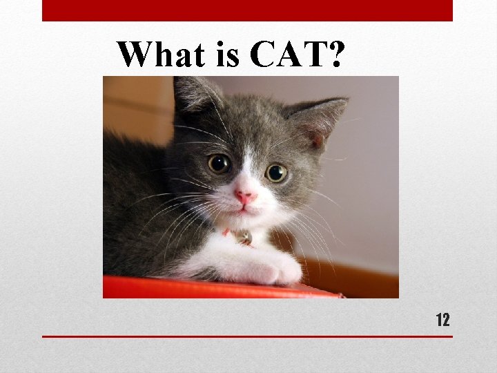 What is CAT? 12 What is CAT? 12
