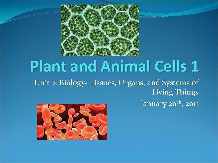 Plant and Animal Cells 1 Unit 2: Biology- Tissues, Organs, and Systems of Living