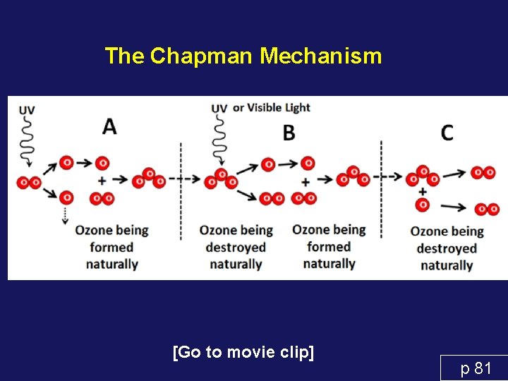 The Chapman Mechanism [Go to movie clip] p 81 