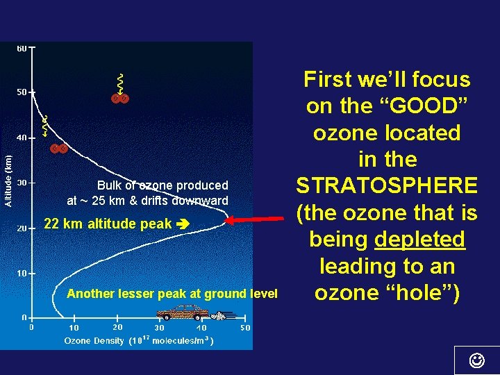 Bulk of ozone produced at ~ 25 km & drifts downward 22 km altitude