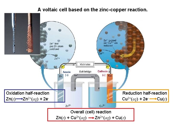 A voltaic cell based on the zinc-copper reaction. Oxidation half-reaction Zn(s) Zn 2+(aq) +