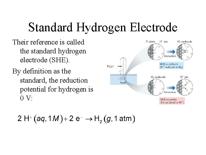 Standard Hydrogen Electrode Their reference is called the standard hydrogen electrode (SHE). By definition