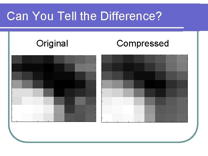 Can You Tell the Difference? Original Compressed 