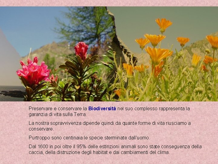 Preservare e conservare la Biodiversità nel suo complesso rappresenta la garanzia di vita sulla